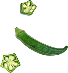 食材
