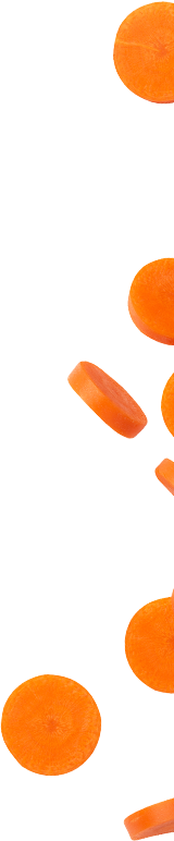 食材