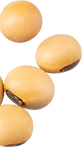 食材