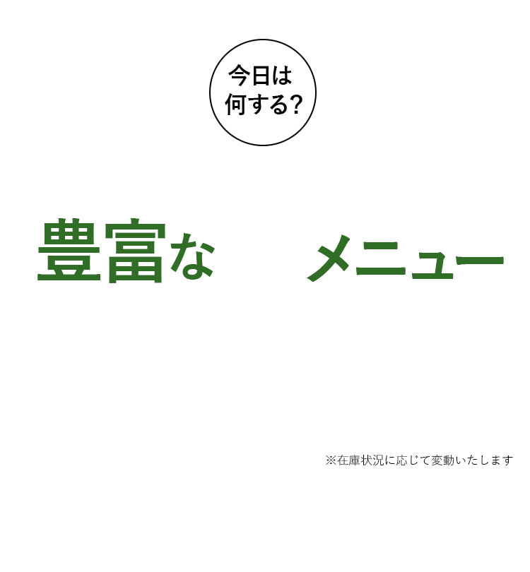 豊富なメニュー