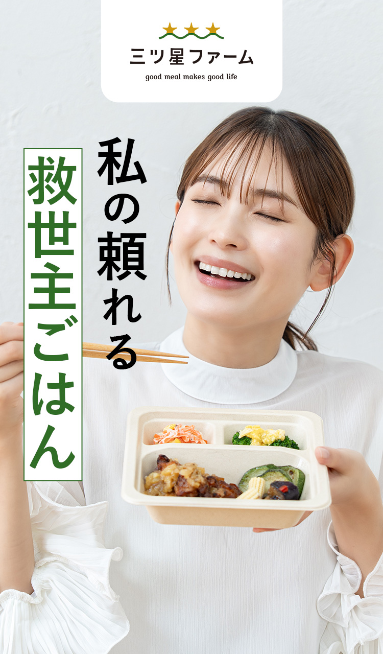 私の頼れる救世主ごはん