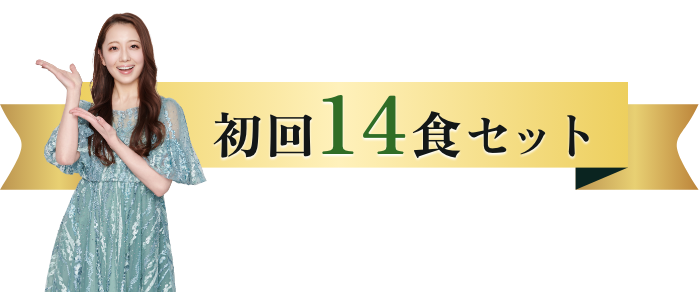 初回14食セット