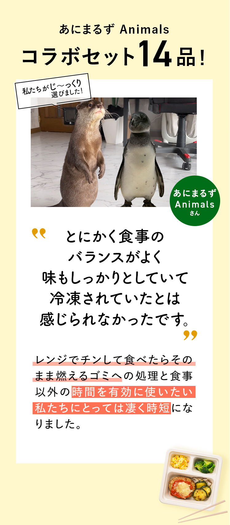 コメント