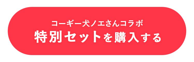 offerボタン