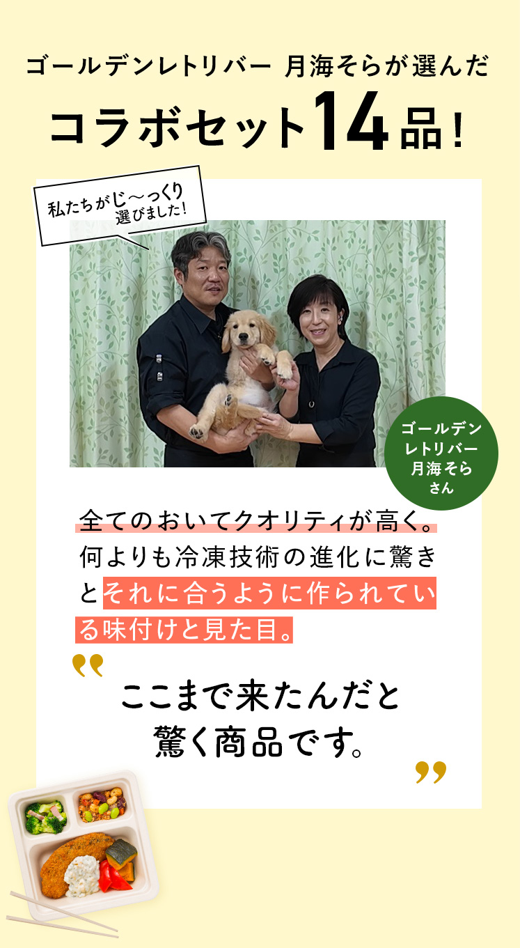 コメント