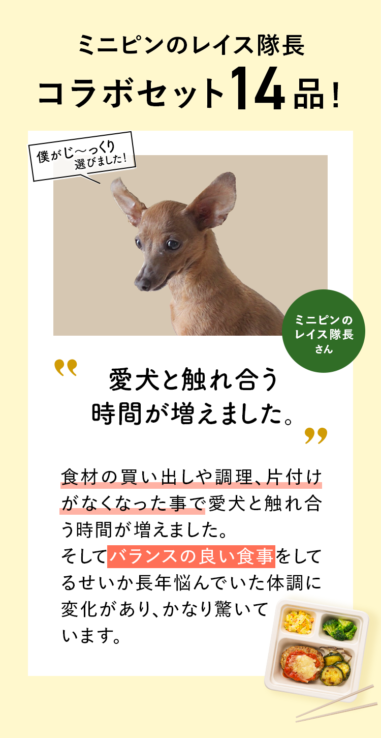 コメント