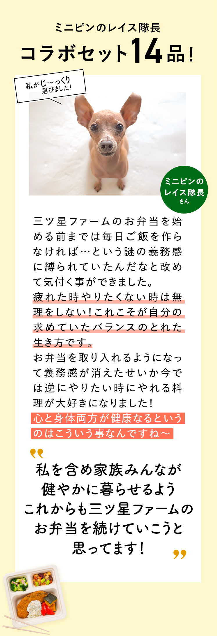 コメント