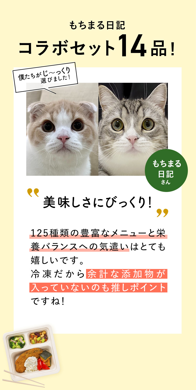コメント