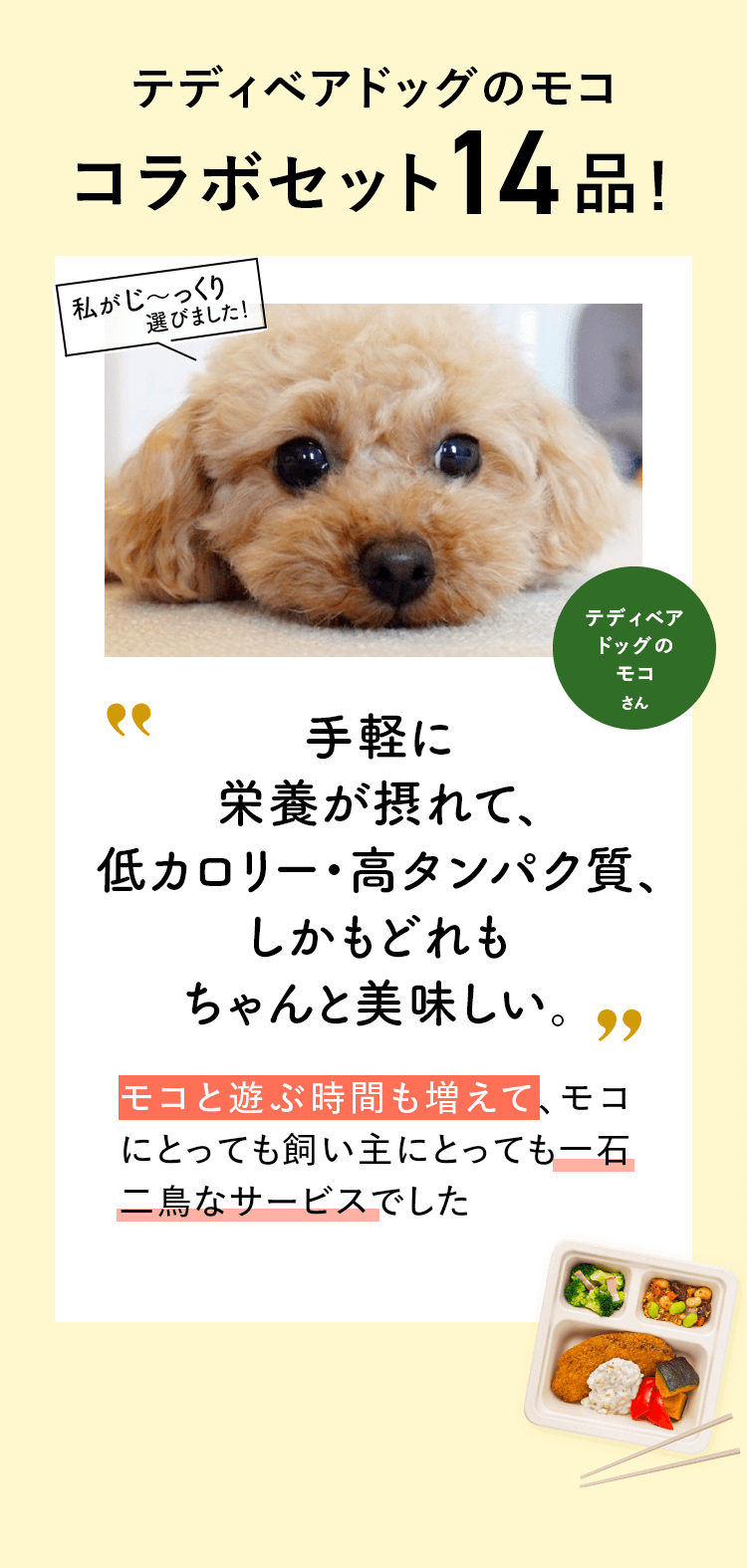 コメント
