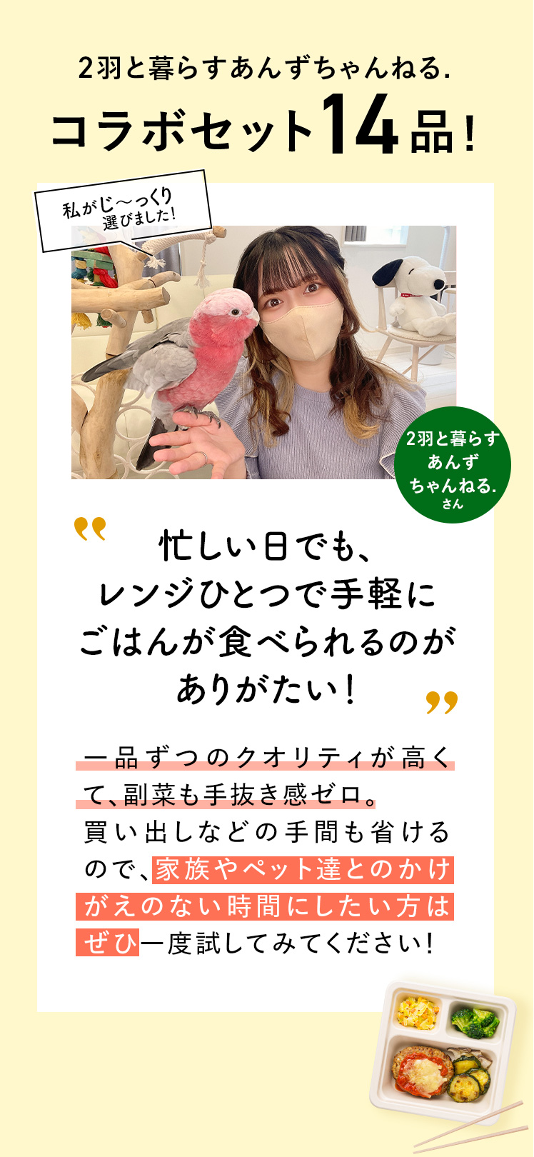 コメント