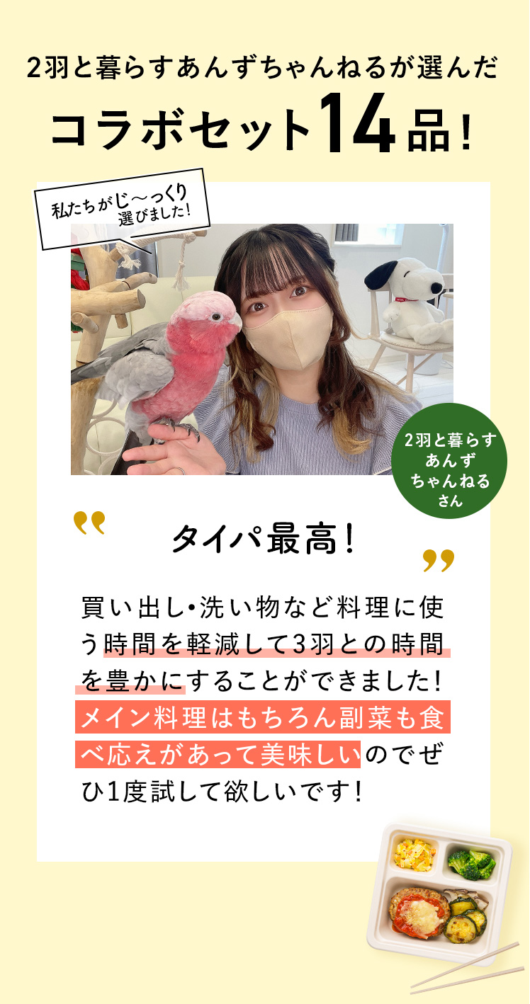 コメント