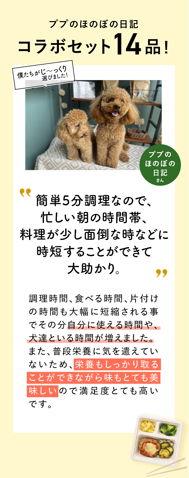 コメント