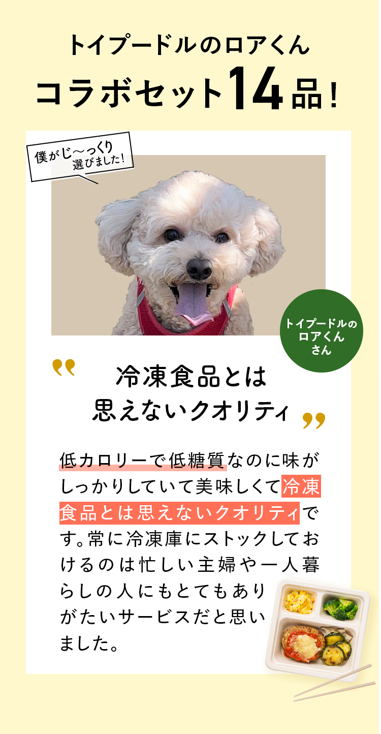 コメント