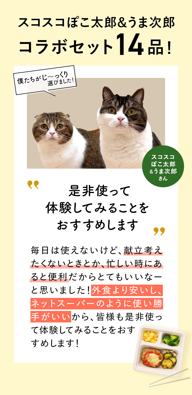 コメント