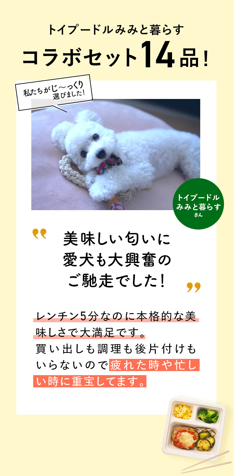 コメント
