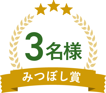 3名様 みつぼし賞