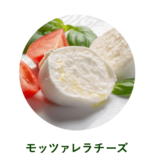 モッツァレラチーズ