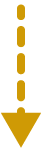 ↓
