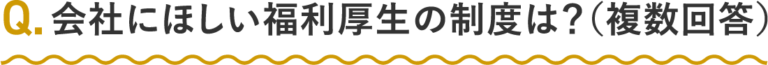会社にほしい福利厚生の制度は？