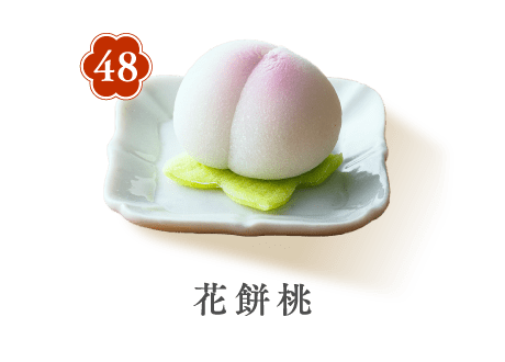48 花餅桃