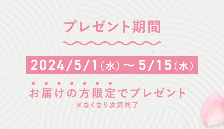 プレゼント期間